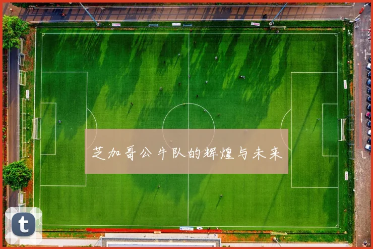 芝加哥公牛队的辉煌与未来