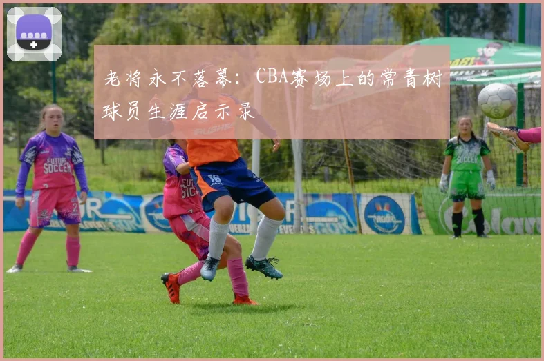 老将永不落幕：CBA赛场上的常青树球员生涯启示录