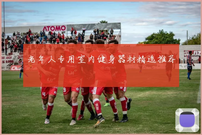 老年人专用室内健身器材精选推荐
