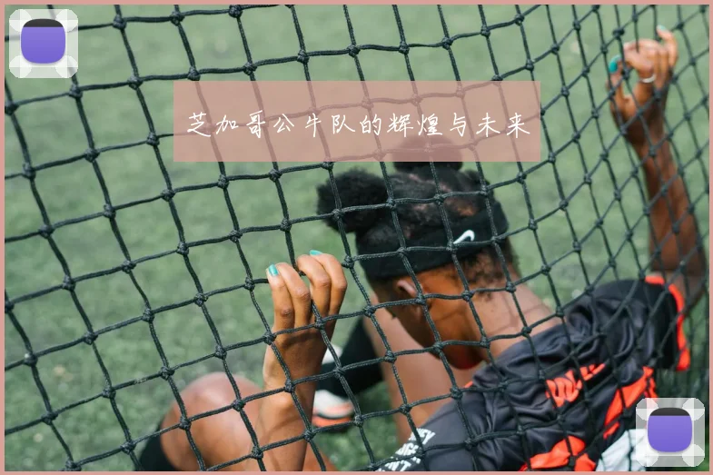 芝加哥公牛队的辉煌与未来